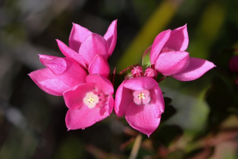 this is a placeholder image