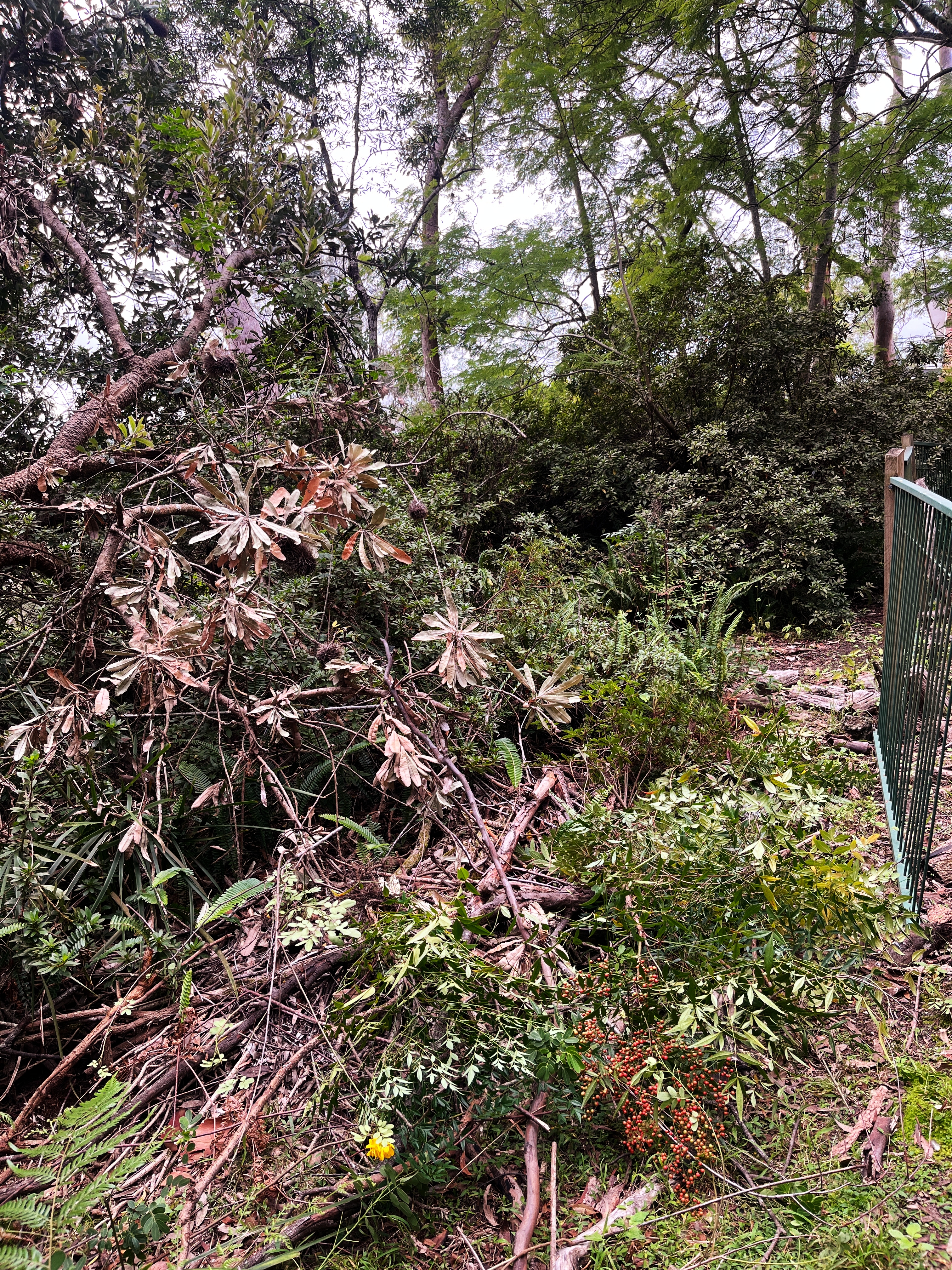 Bush boundary